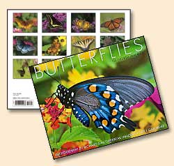 Butterflies of North America Calendar Cover